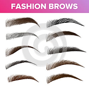 Fashion Brows Various Shapes And Types Vector Set photo