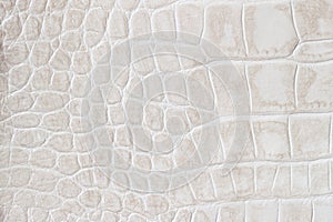 Fashion cream scales macro exotic background, embossed under the skin of a reptile, crocodile. Texture genuine leather