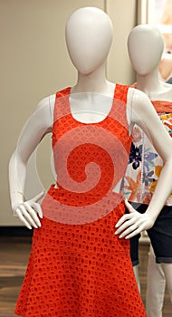 Fashion dress on mannequin
