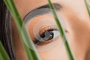 Fashion flora stylish photo of asian beautiful young woman with extended eyelashes through green palm leaves