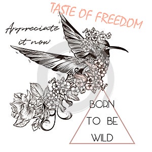 Fashion illustration, vector T-shirt print with hummingbird and roses. Taste of freedom
