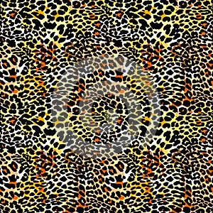 Fashion leopard exotic seamless pattern.