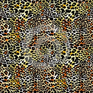 Fashion leopard exotic seamless pattern. photo