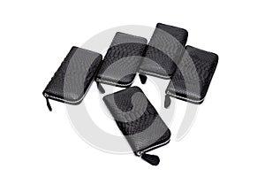 Fashion luxury snakeskin python black wallets isolated on a white background.