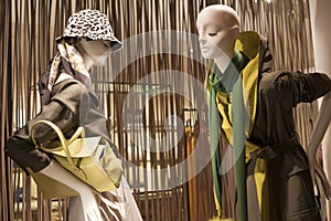 Fashion mannequin showcase display shopping retail