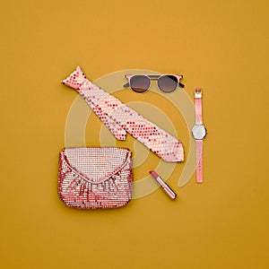 Fashion Minimal Design Woman Accessories Set. Art