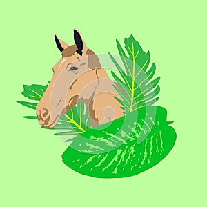 Fashion minimal illustration. Horse head bio eco green concept