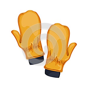 fashion mittens gloves winter cartoon vector illustration