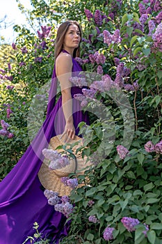 Fashion Model in Lilac Flowers, Young Woman in Beautiful Long Dress Waving on Wind, Outdoor Beauty Portrait in Blooming