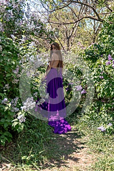 Fashion Model in Lilac Flowers, Young Woman in Beautiful Long Dress Waving on Wind, Outdoor Beauty Portrait in Blooming