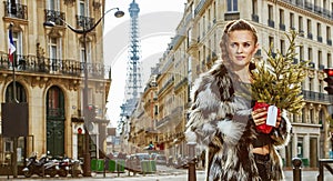 Fashion-monger with Christmas tree looking into distance, Paris photo