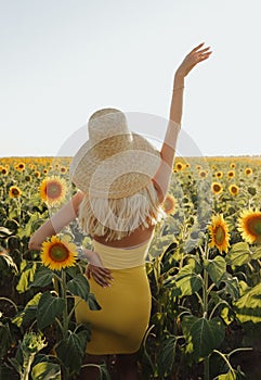 Beautiful woman with blond hair in elegant dress posing in flowering sunflower field