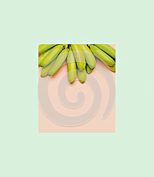 Fashion photo bananas on pink background. Minimal Geometric styl