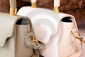 fashion photo of two purse. beige and green woman handbag with gold chain on background of pampas grass or dried flowers