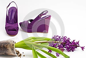 Fashion platform shoes and flower close-up