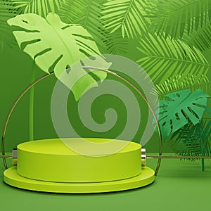 Fashion show stage podium with tropical palm leaves and Monstera plant. Empty scene for product show and mock up. Summer time