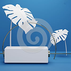 Fashion show stage podium with tropical palm leaves and Monstera plant. Empty scene for product show and mock up. Summer time