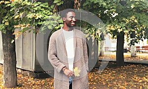 Fashion smiling african man in knitted cardigan holds yellow maple leaves in autumn