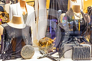 Fashion store mannequins and cat in display window