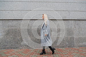 Fashion style portrait of young beautiful elegant woman in gray fur coat walking at city street