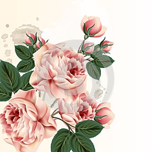 Fashion vector background with roses in vintage style