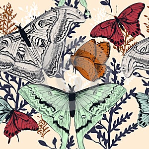 Fashion vector pattern with rustic plants and butterflies in vintage style