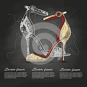 Fashion vector sketch womens shoes.