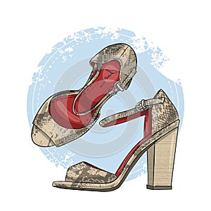 Fashion vector sketch womens shoes.