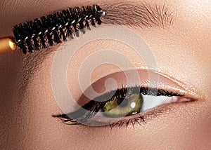 Fashion woman applying eyeshadow, mascara on eyelid, eyelash and eyebrow using makeup brush. Professional make-up artist