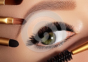 Fashion woman applying eyeshadow, mascara on eyelid, eyelash and eyebrow using makeup brush. Professional make-up artist