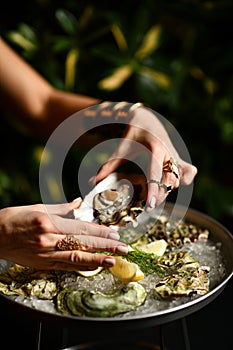 Fashion woman hands with expensive gold rings take oyster