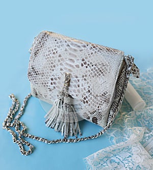 Fashion women python skin bag on blue background