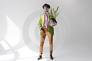 fashionable african american man in hat with green plant in flowerpot in hand posing photo
