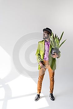 fashionable african american man in hat with green plant in flowerpot in hand posing photo