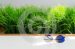 Fashionable blue sunglasses on white table on bright green grass background.