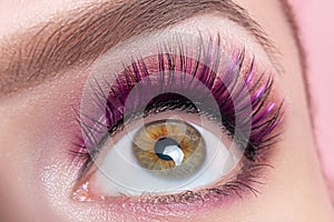 Fashionable bright eye makeup close-up. Female eye with pink violet shadows and false eyelashes, macro