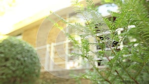 Fashionable building stands on the site with green plants