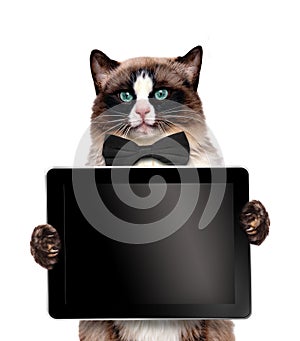 Fashionable cat holding a blank tablet.