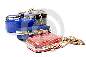 Fashionable female handbags