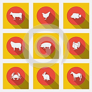 Fashionable flat icons with long shadows types of meat products. Nine animals on a bright background.