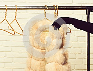 Fashionable fur on hangers