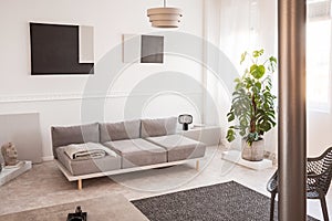 Fashionable industrial lamp next to scandinavian sofa in bright living room