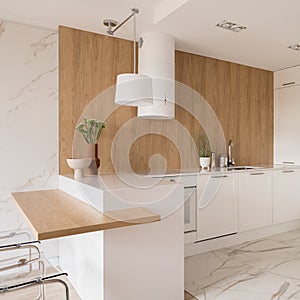 Fashionable kitchen with wooden wall