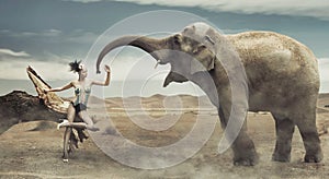 fashionable lady with elephant