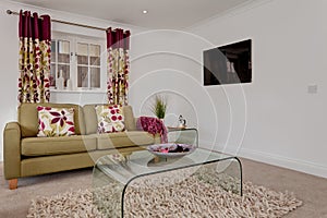 Fashionable luxury living room