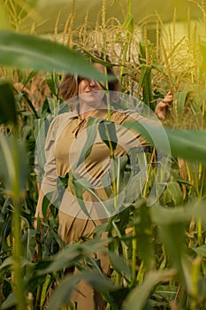 Fashionable photo of attractive pretty girl in yellow golden dress standing in corn rural field