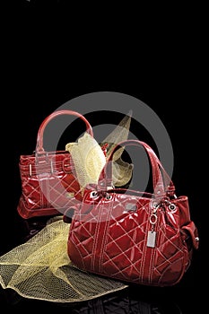 Fashionable red Handbags