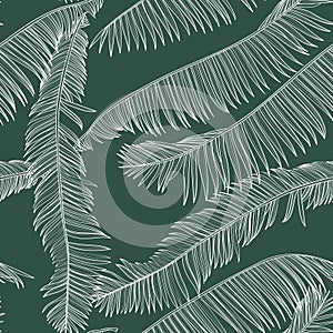 Fashionable seamless tropical pattern with line tropical  palms leaves on a green background.
