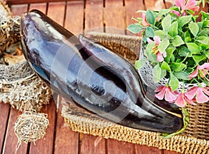 Fashionable ugly organic eggplant in a still life on a brown wooden background, with copy space