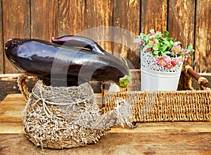 Fashionable ugly organic eggplant in a still life on a brown wooden background, with copy space